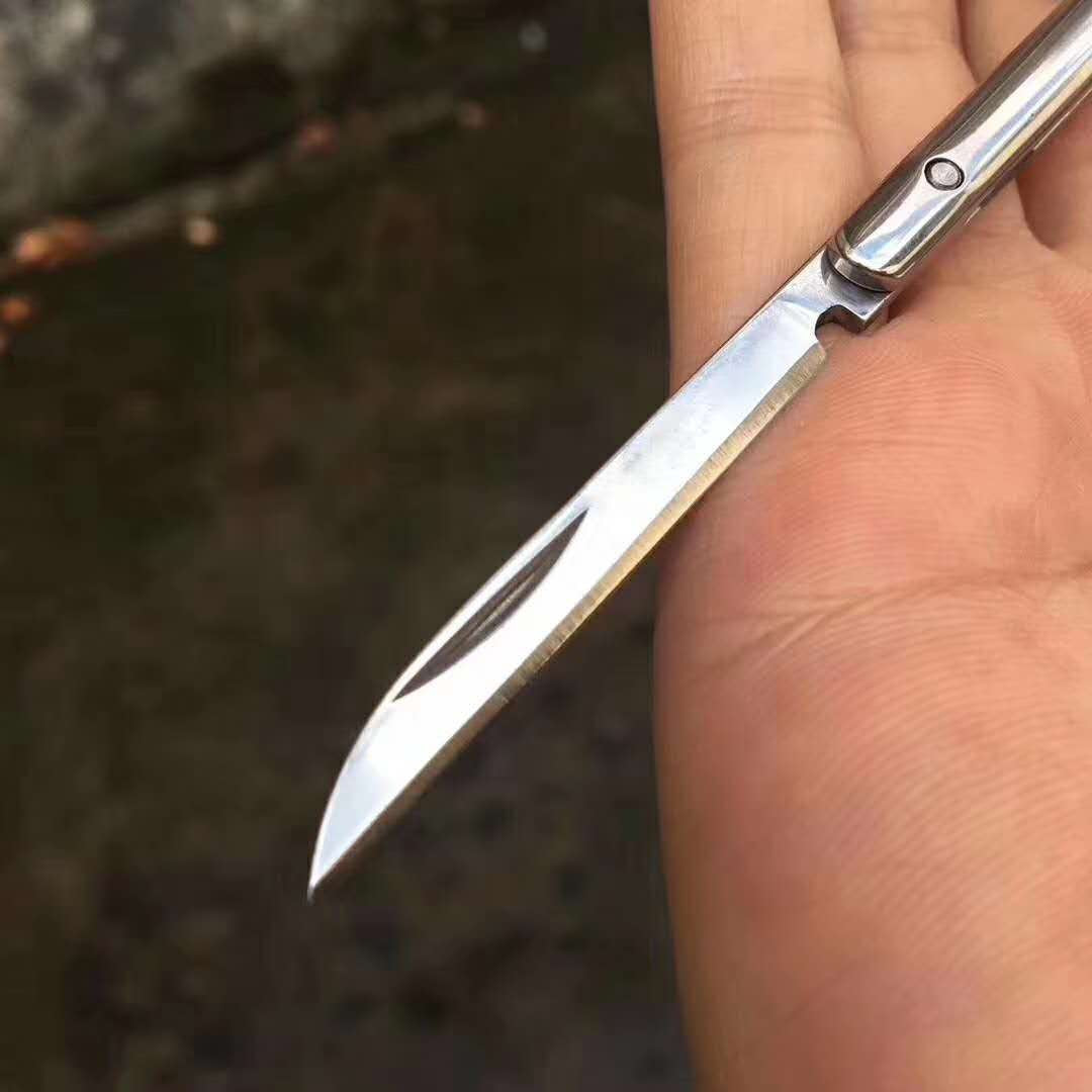 Magic Pen folding knife outdoor camp hunting survival pocket fruit kitchen knives EDC tools