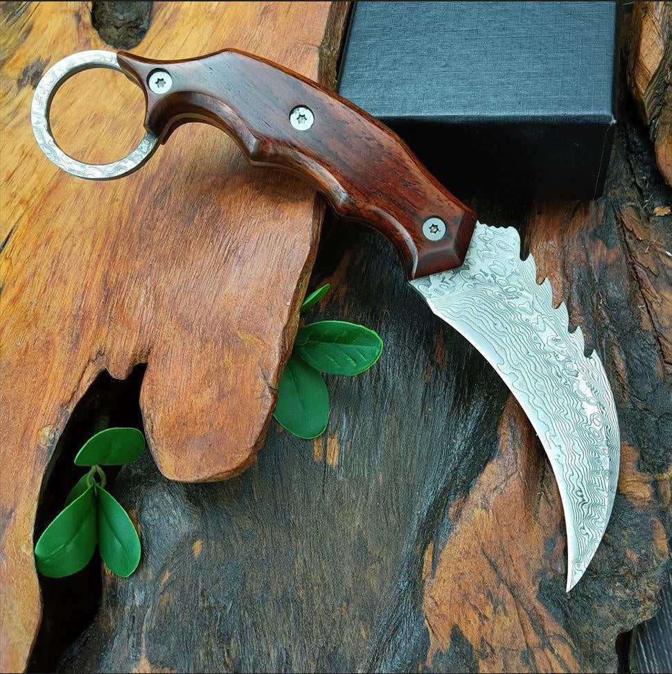 dinosaur Damascus steel Hawk Claw Blade Tactical Outdoor Handle  Blade Pocket  BLADE Neck Knife claw saber tactical survival edc  self-defense Claw knife